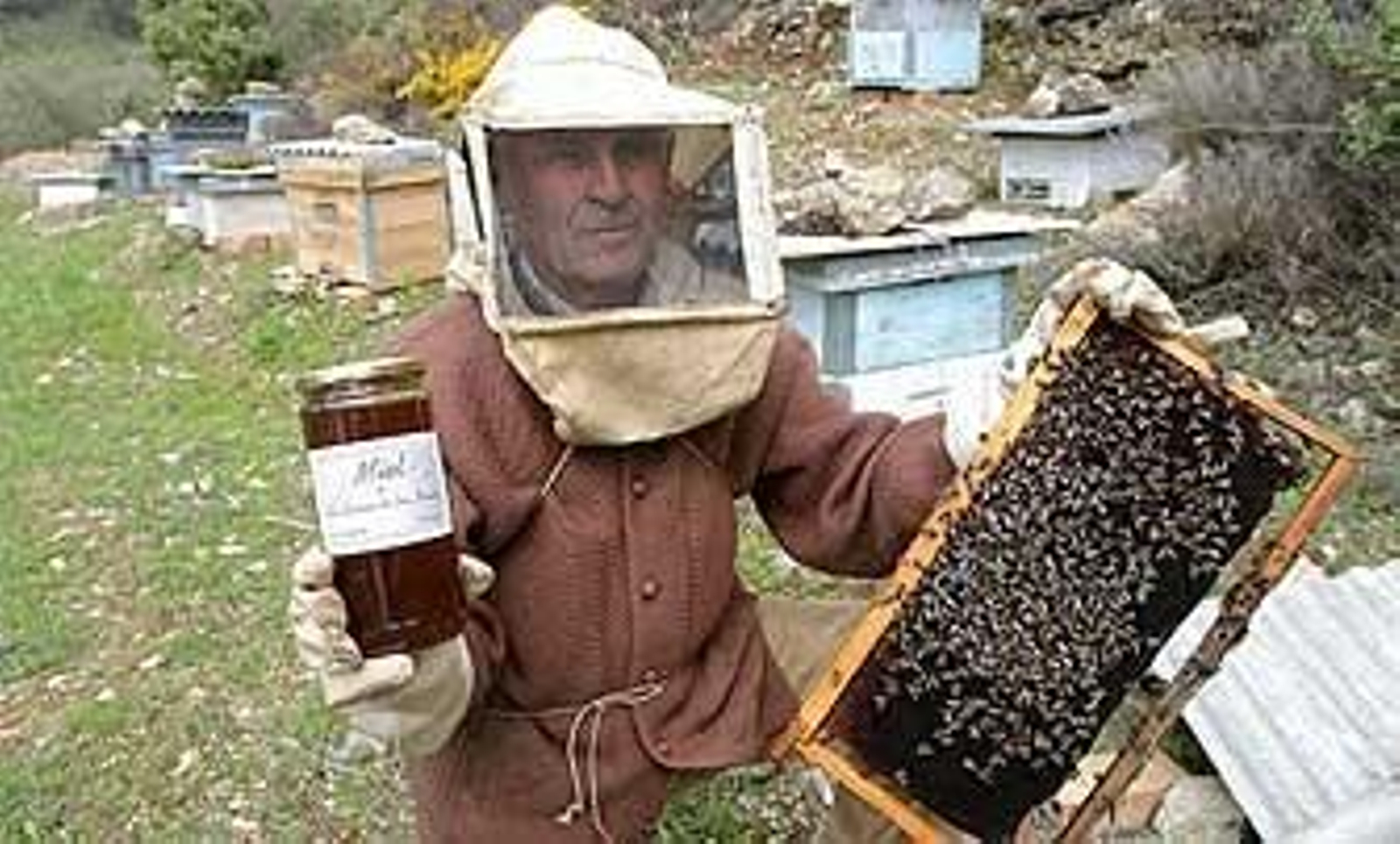 La DO de Sierra Morena tendrá ocho tipos De miel, una bifloral desconocida hasta ahora