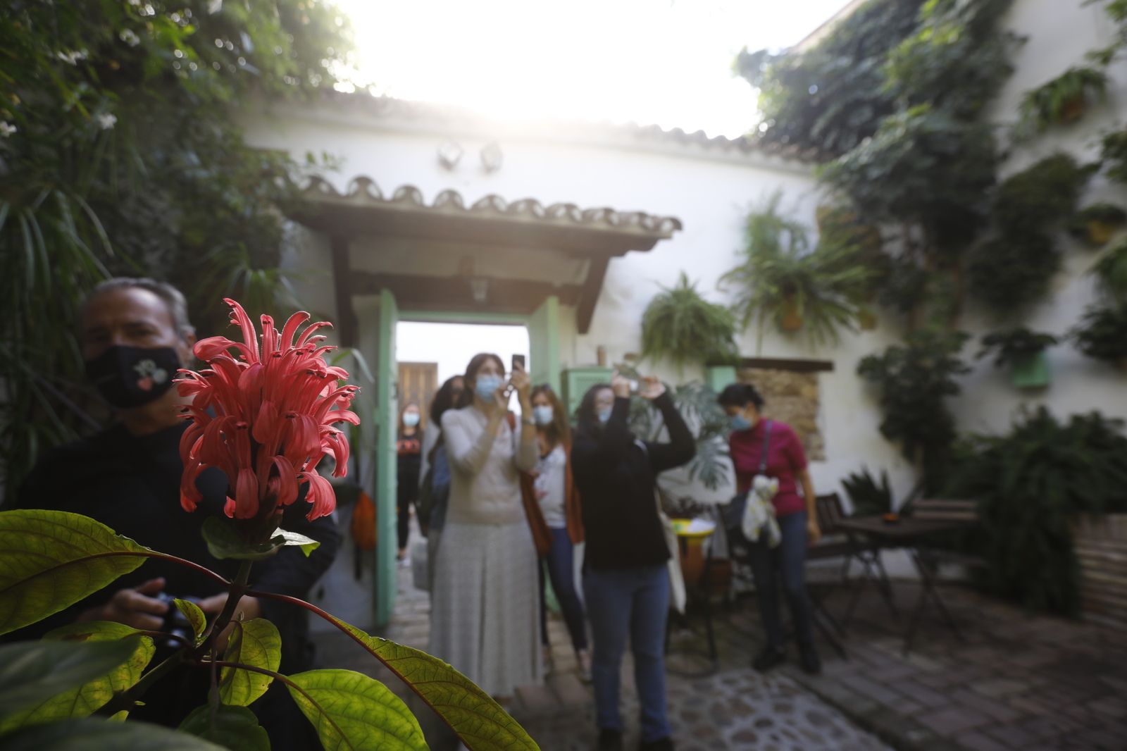 Las fotografías del primer día de apertura de los Patios de Córdoba en otoño