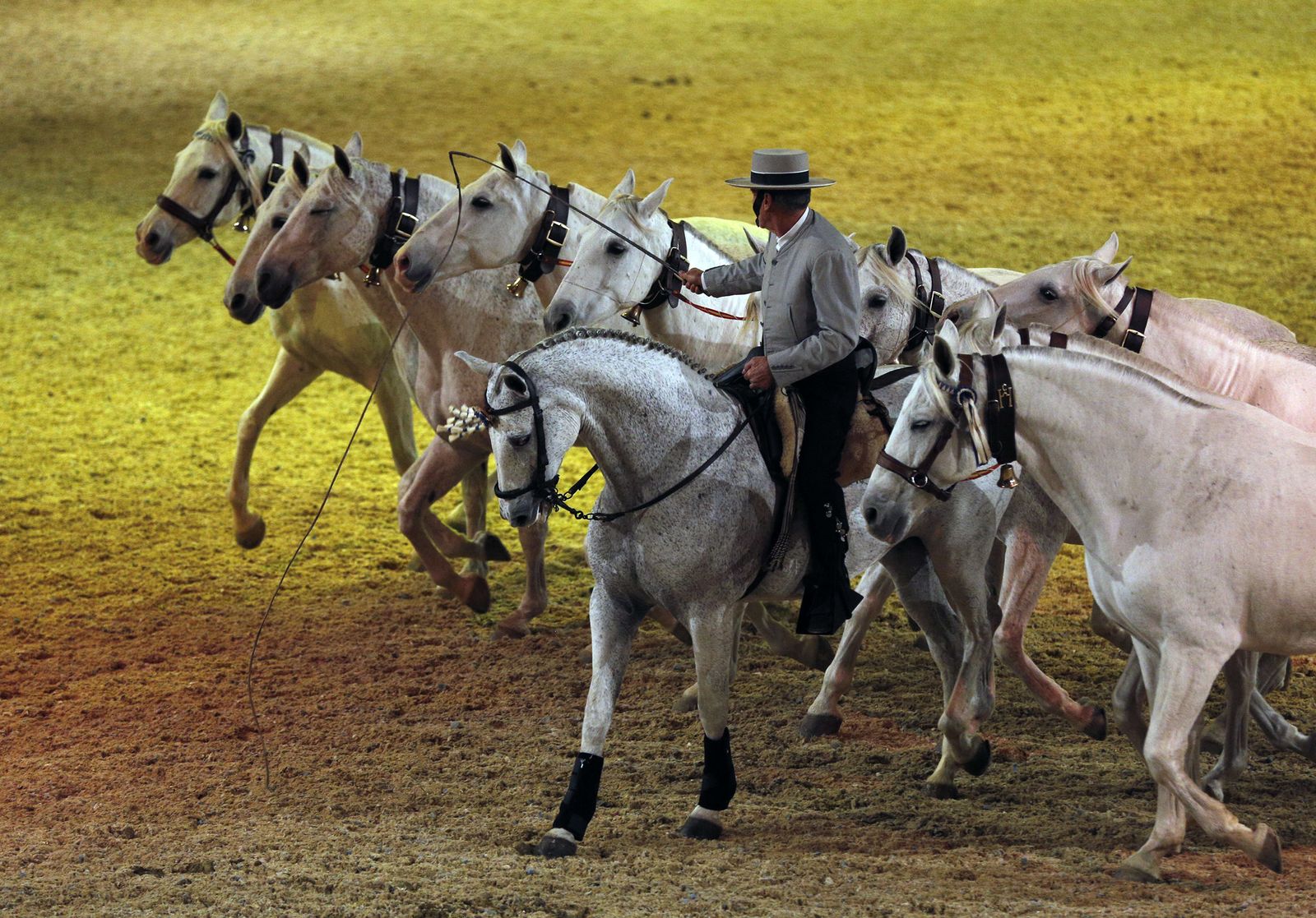 Inauguración de Sicab 2017