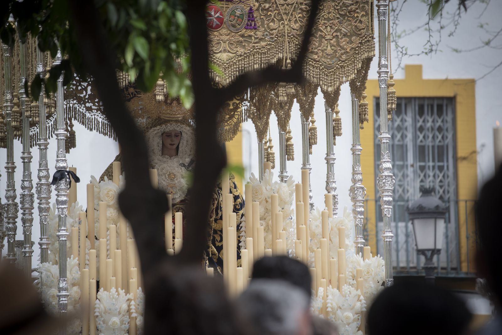 La Hermandad de San Esteban , en imágenes
