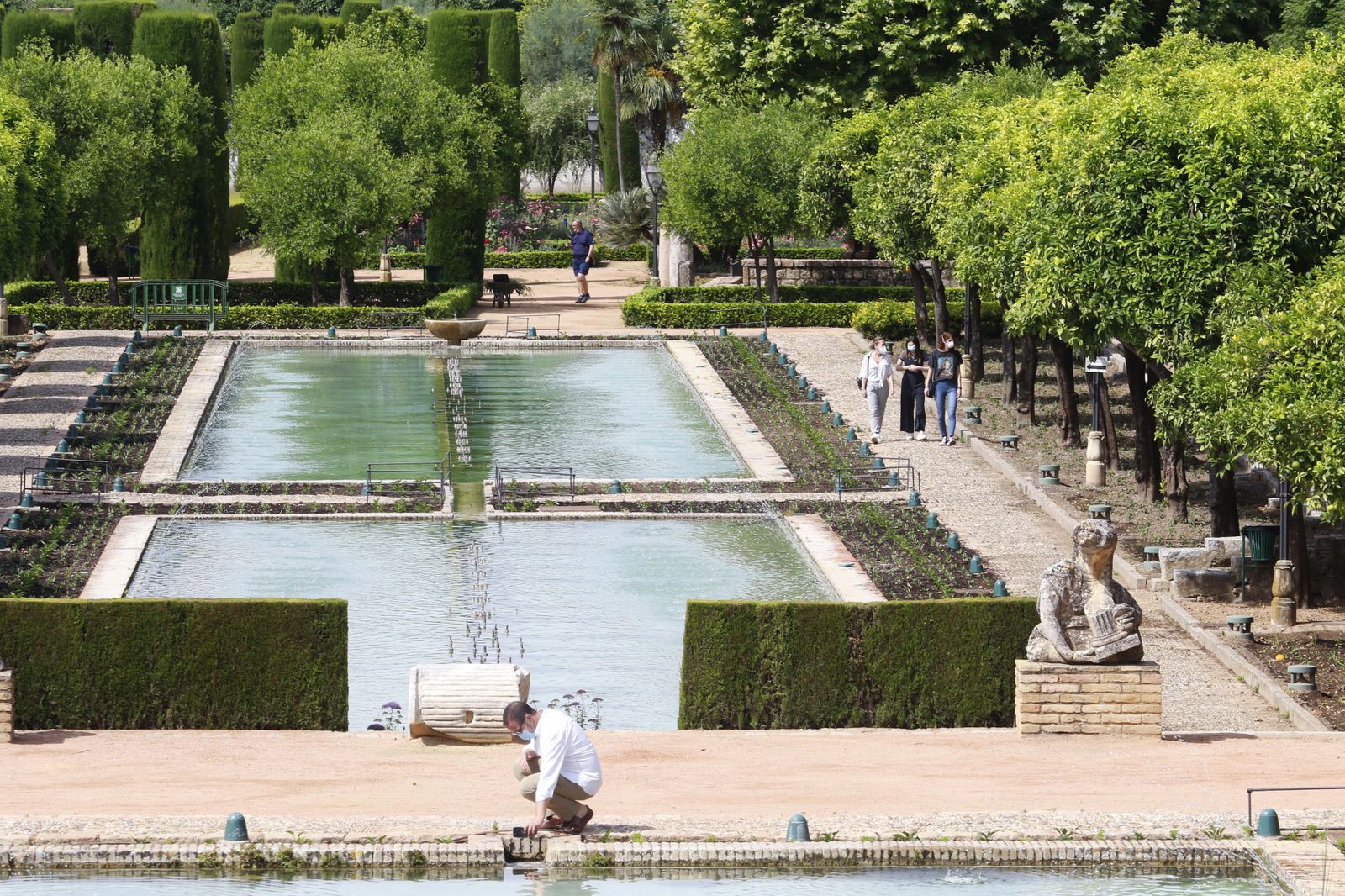 Las fotografías de la reapertura al público del Alcázar