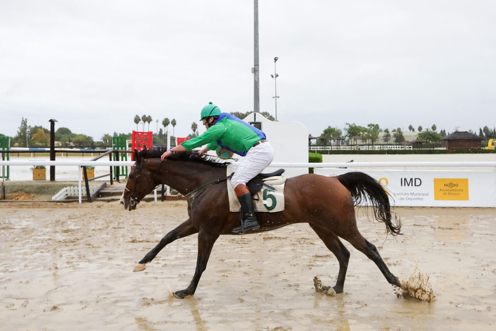 Búscate en las carreras de caballos de Pineda