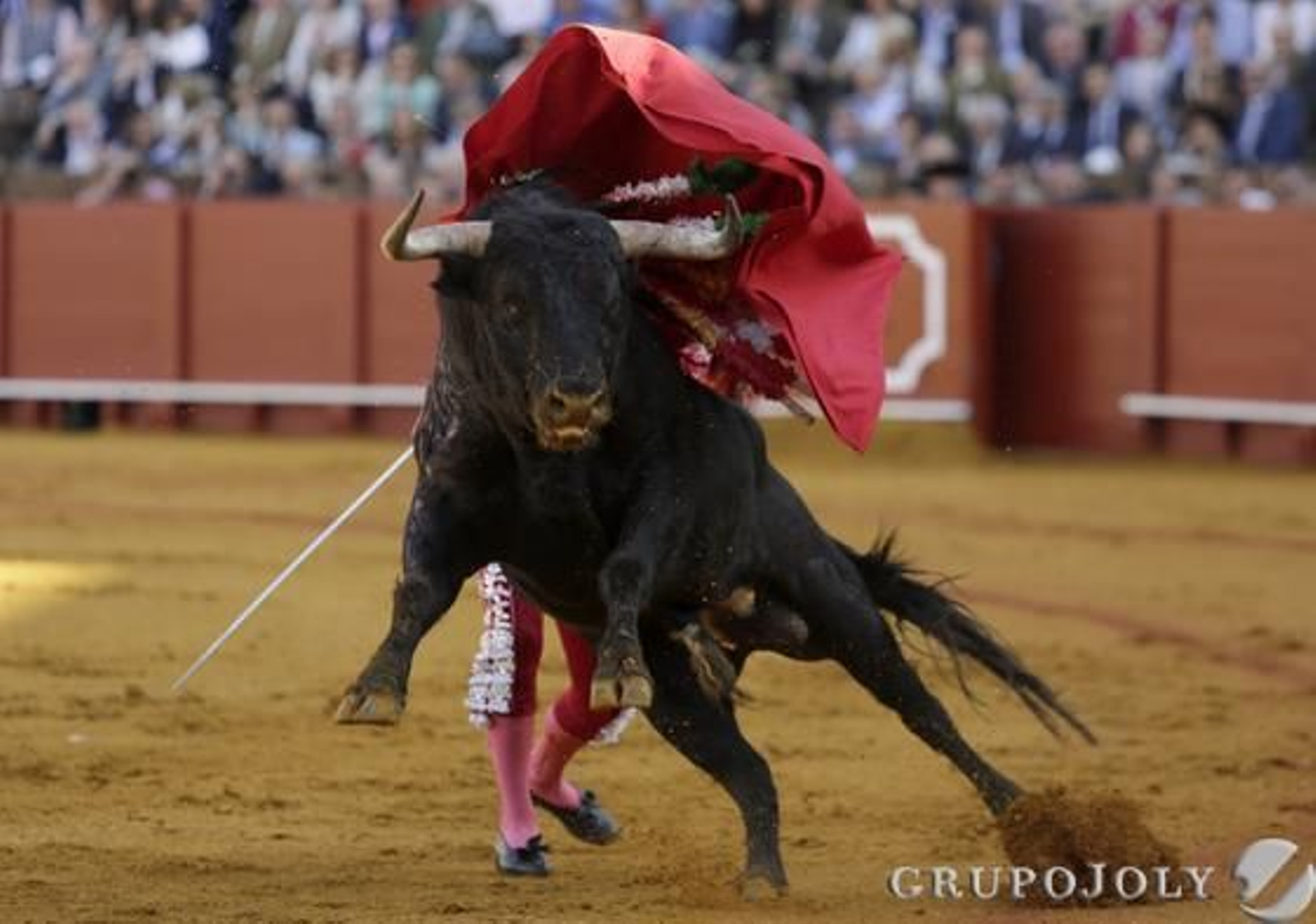 Miguel Abellán. / Juan Carlos Muñoz