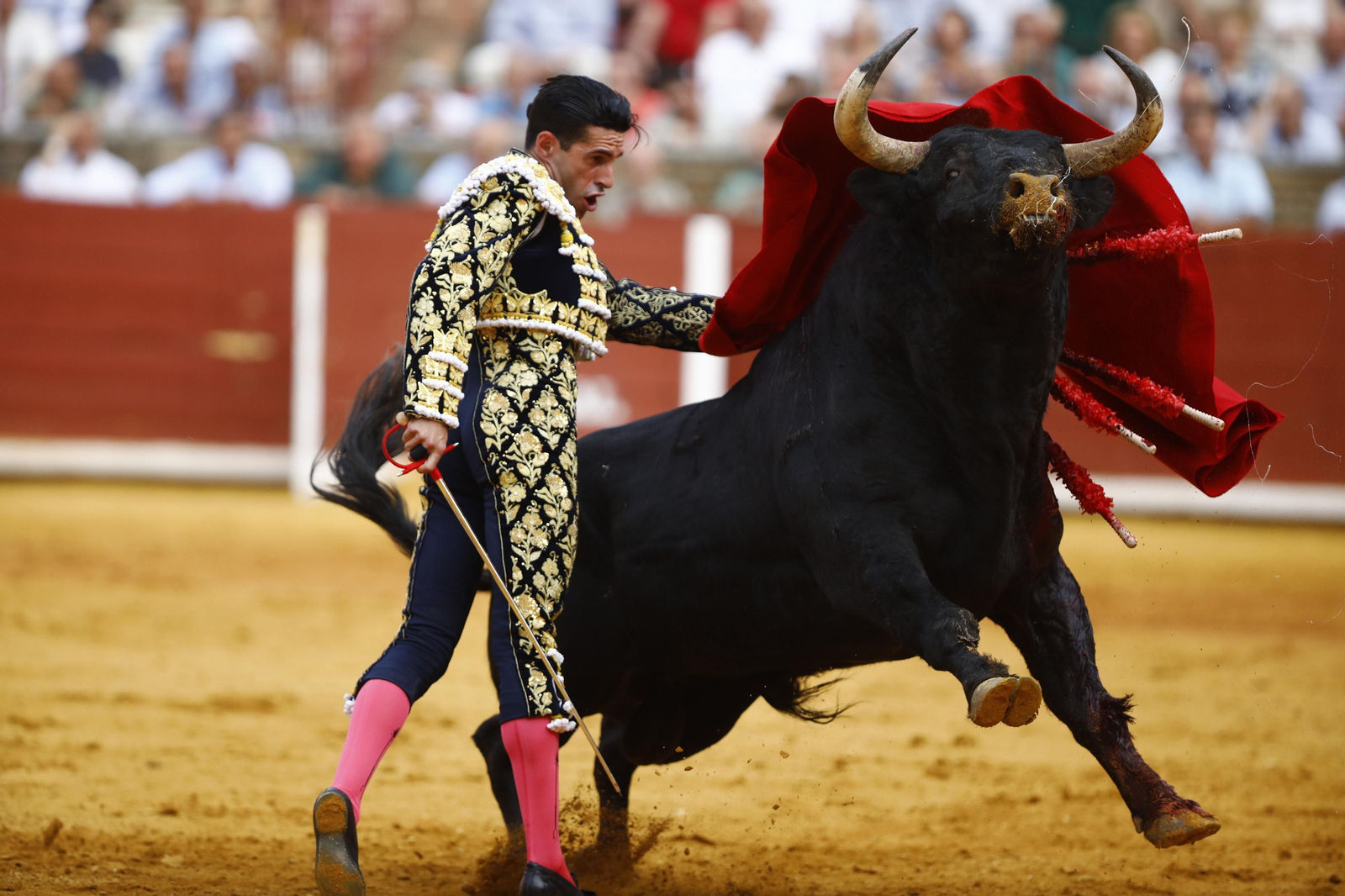 La corrida de Talavante, Roca Rey y Lagartijo, en Córdoba, en imágenes