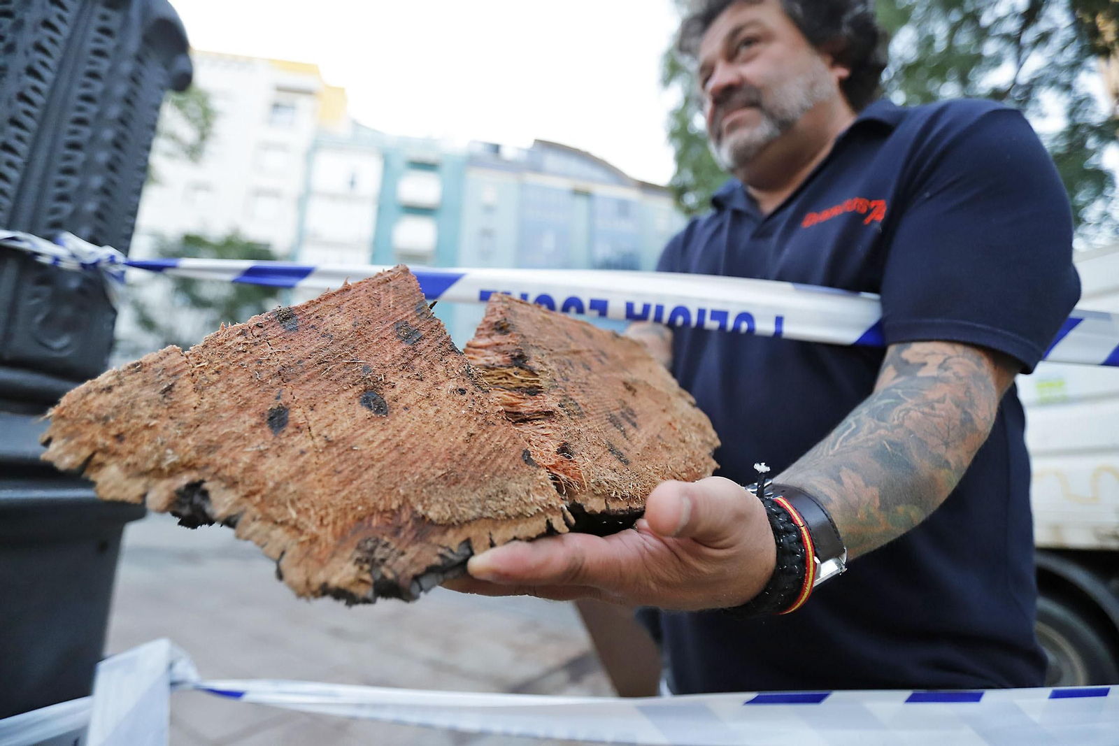 Imágenes de la tala de la emblemática Palmera de Huelva