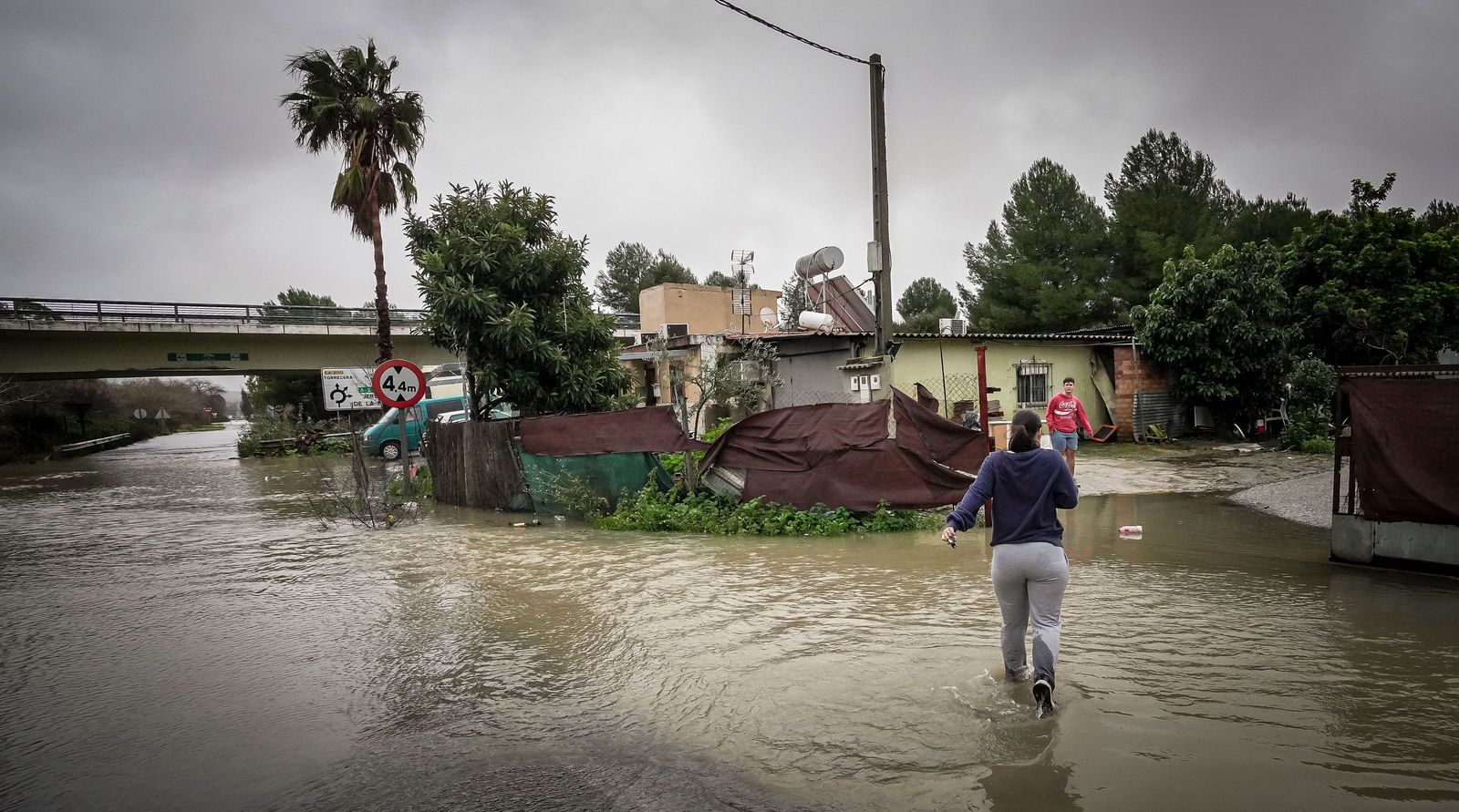 Imágenes de las graves consecuencias de la crecida del rio Guadalete en la zona rural de Jerez
