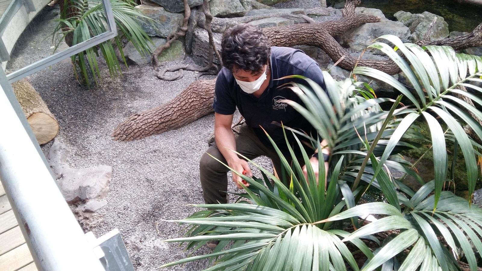 El jardinero encargado de cuidar de las plantas del Biodomo.