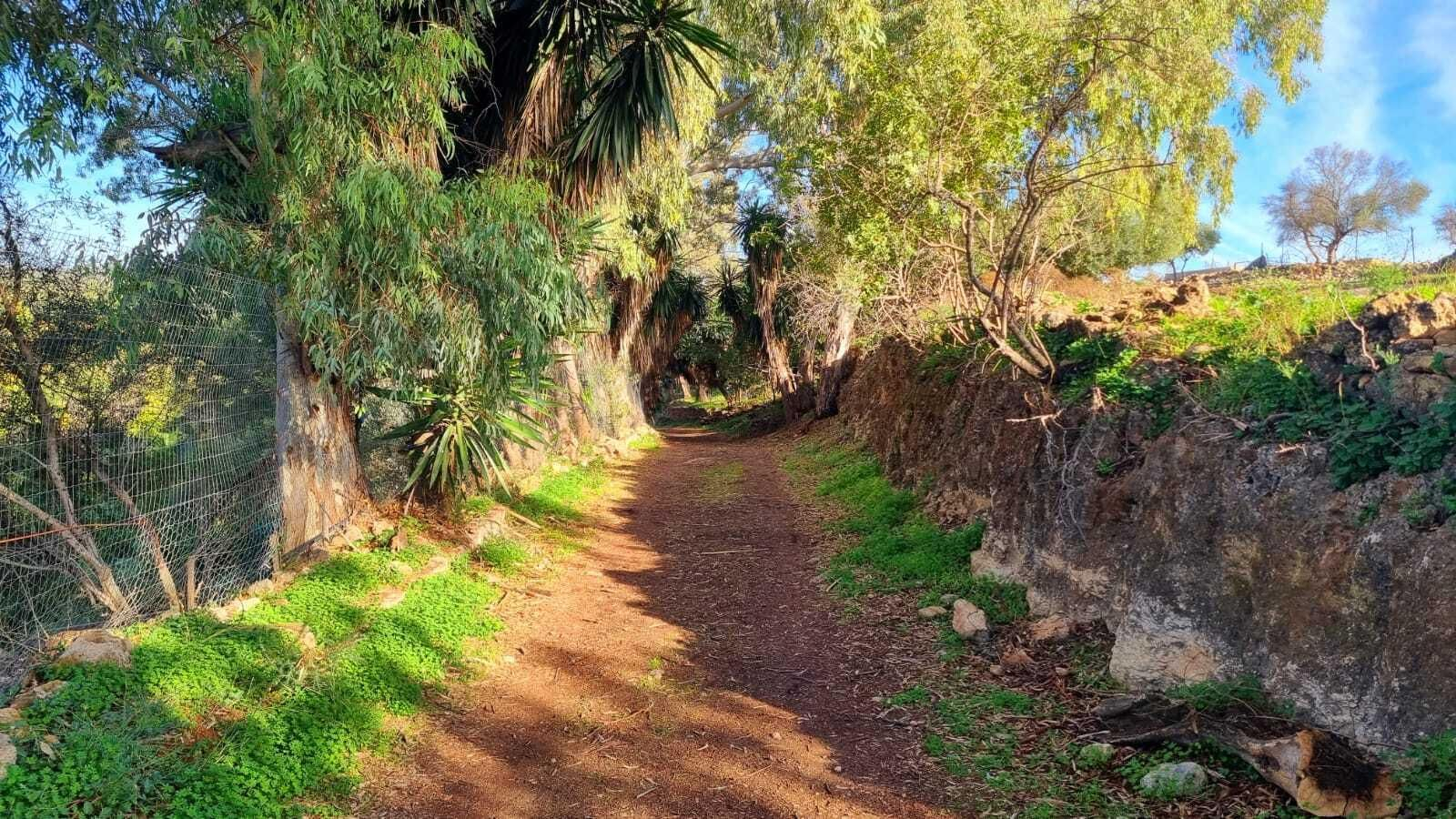 Un paseo en fotografías por el Bosque Encantado de Hornachuelos