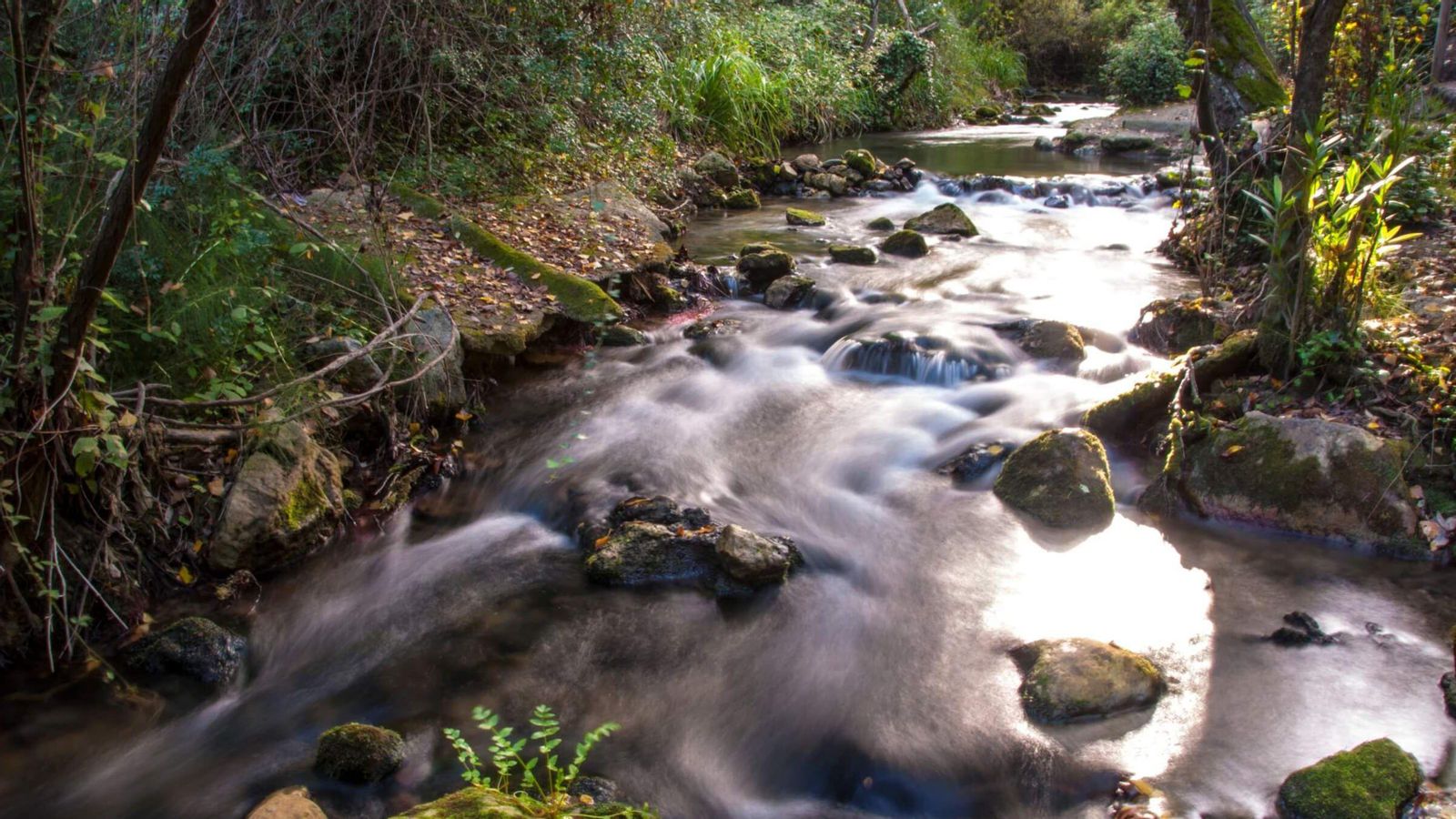 Sendero del Río Majaceite (Cádiz)