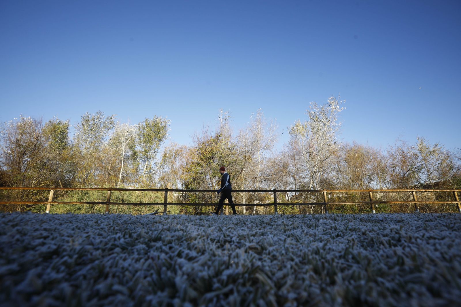 La ola de frío en Córdoba, en fotografías