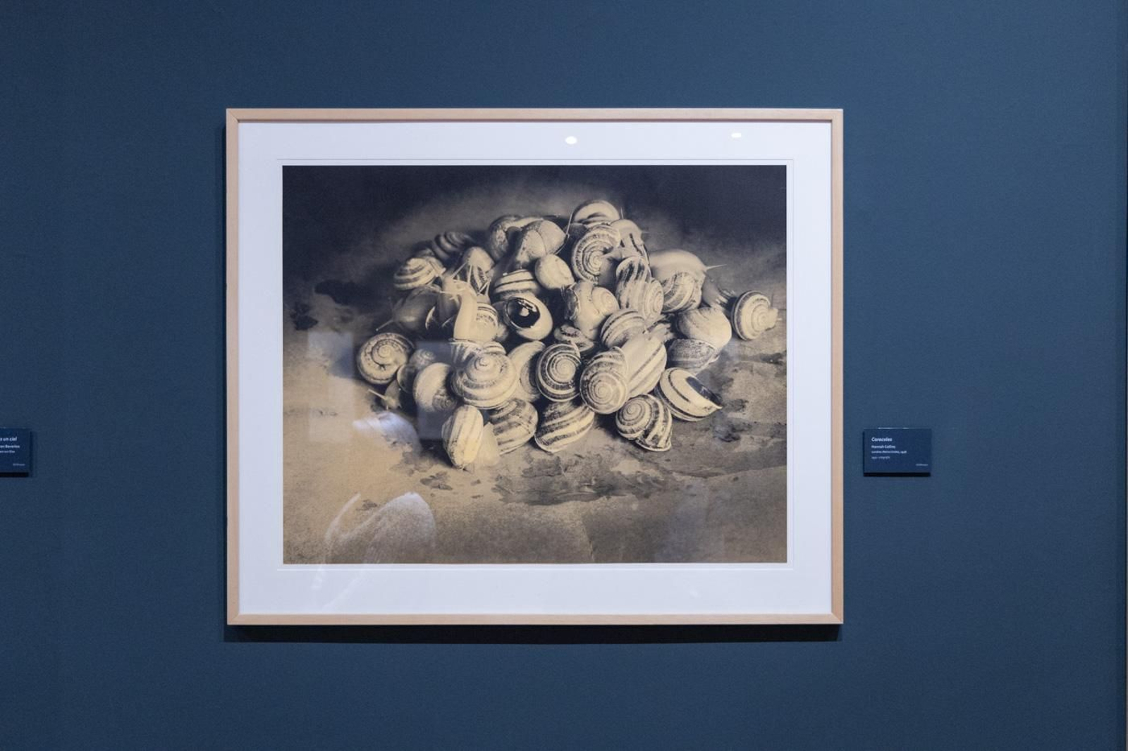 Inauguración de la nueva sala de exposiciones permanentes del Museo de Jaén con la colección de arte gráfico