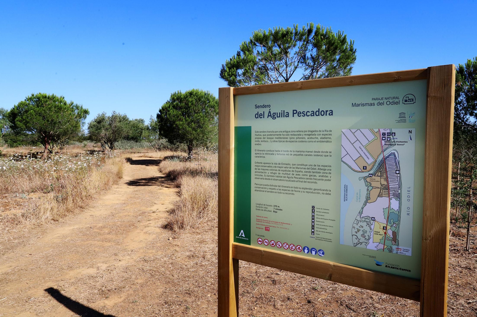 Inauguración del nuevo observatorio del Águila Pescadora en Marismas del Odiel