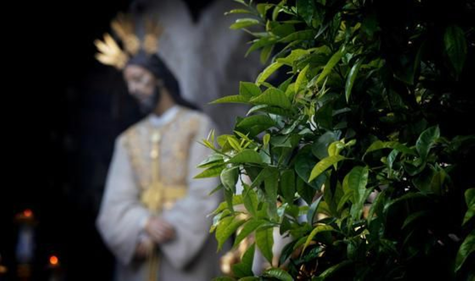 Pocas imágenes pueden plasmar mejor lo que es Jerez en esta época del año que una imagen de nuestra Semana Santa como Jesús del Consuelo ante un naranjo a punto de florecer.

Foto: Miguel Angel Gonzalez