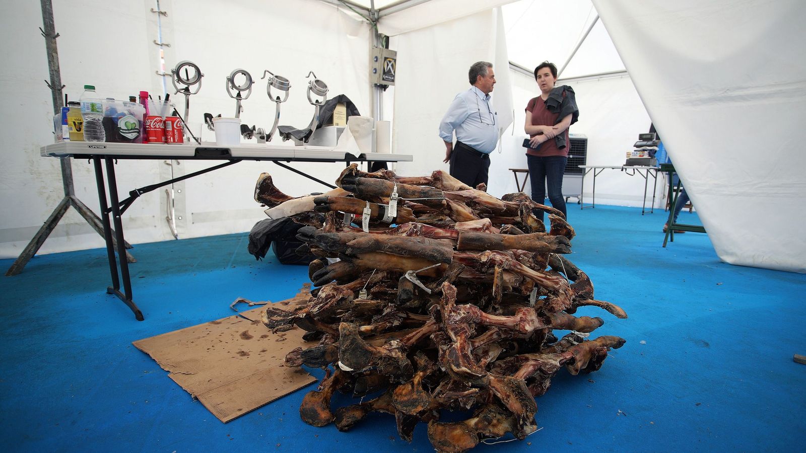 Todas las patas de jamón que cortó en su anterior récord mundial