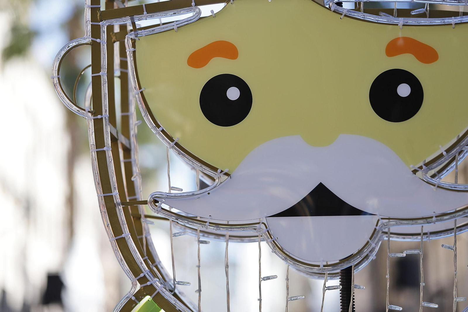 Las imágenes más destacadas del sábado25 de noviembre en Huelva