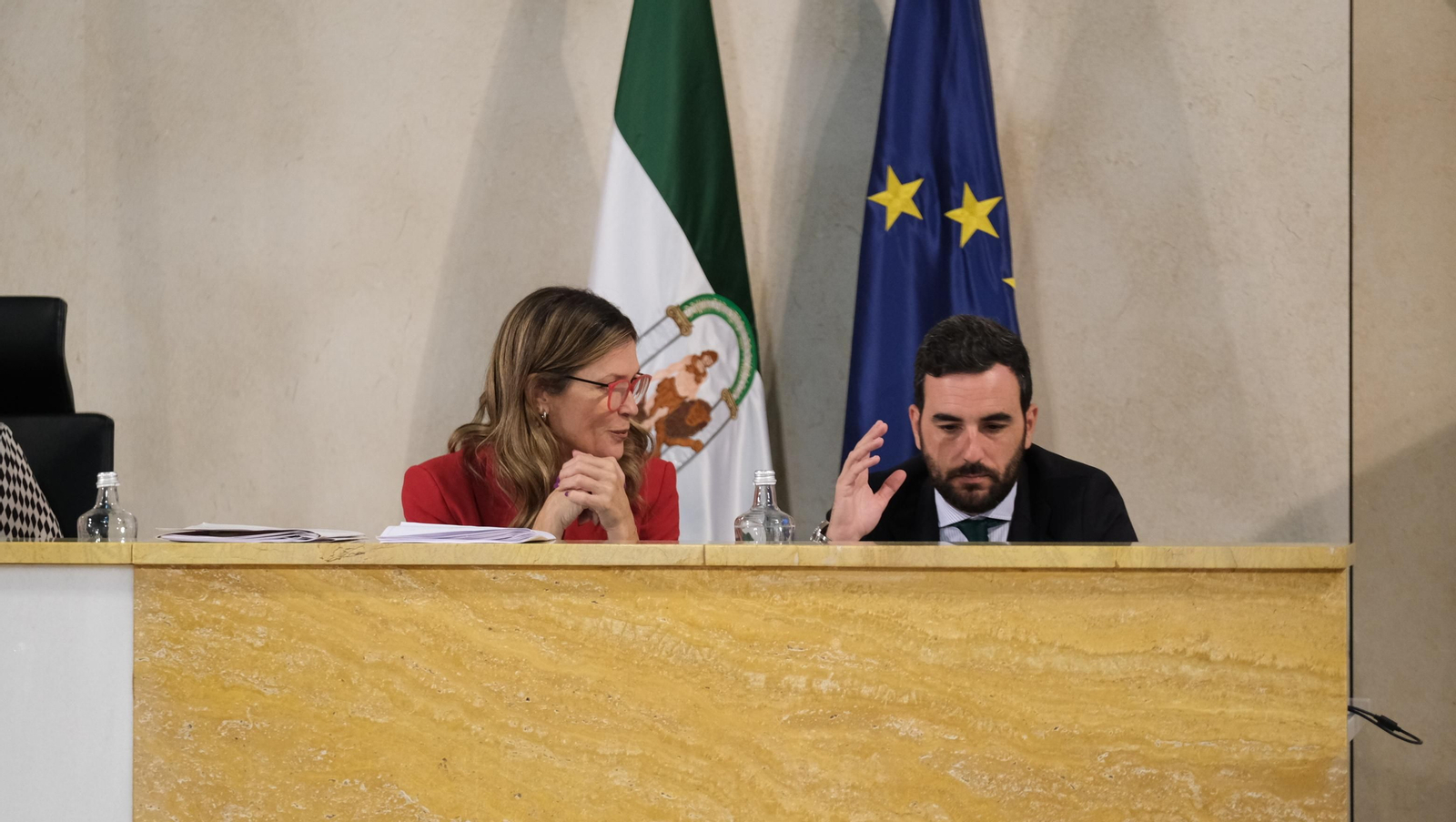 Imágenes del pleno del Ayuntamiento de Almería