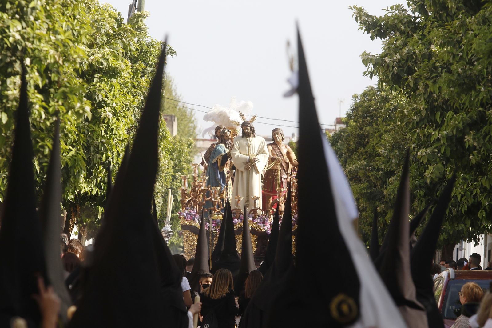 Domingo de Ramos en Córdoba: La procesión del Amor, en imágenes