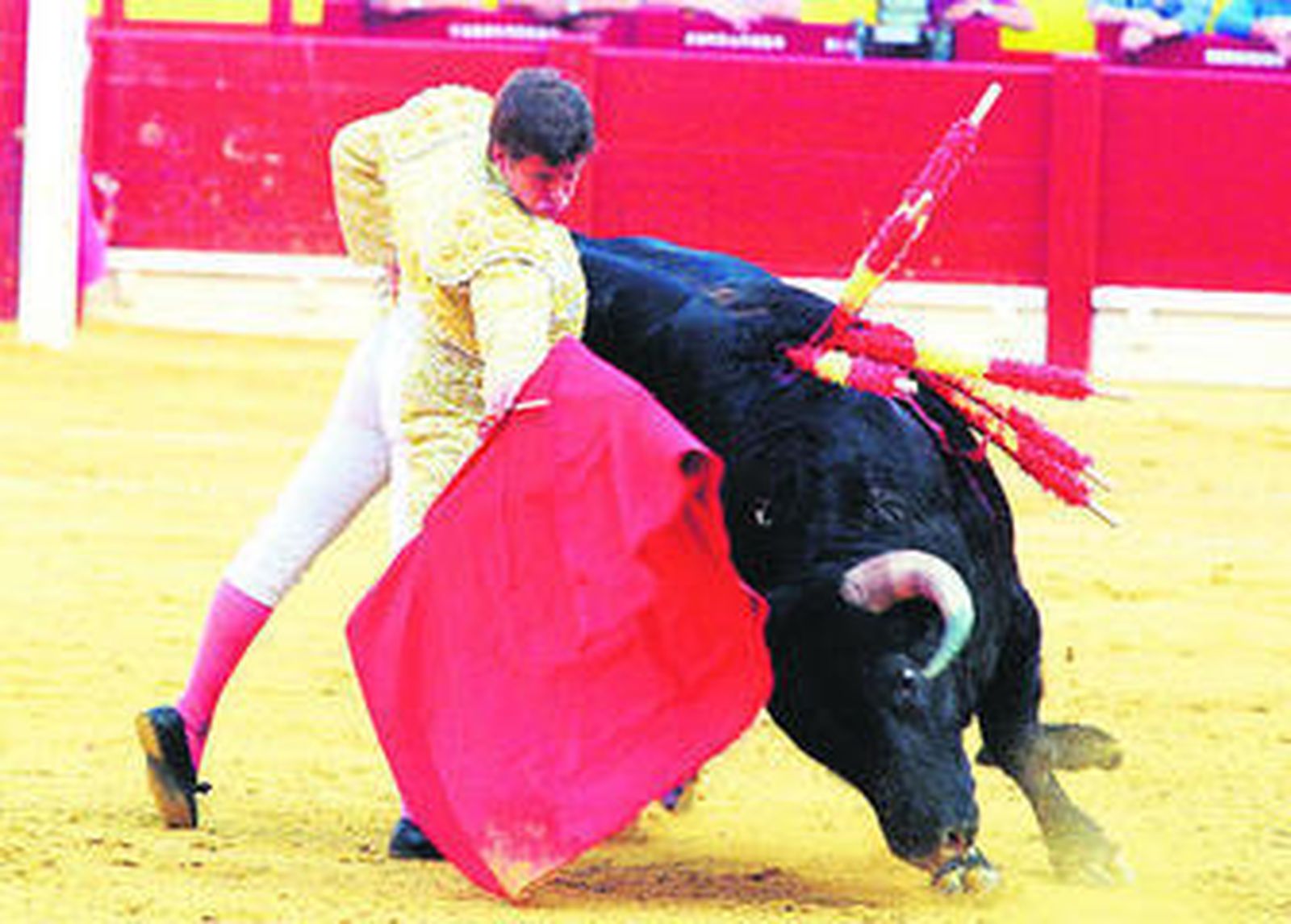 Julián López 'El Juli', en un derechazo en la plaza de toros de Alicante.