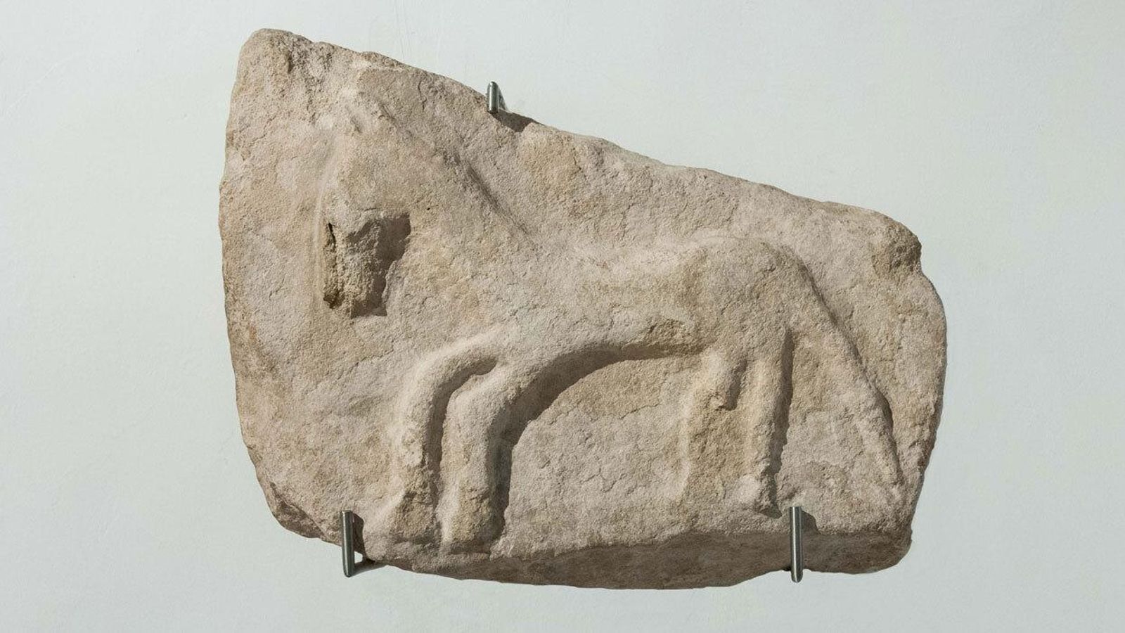 Grabado en piedra perteneciente a la colección