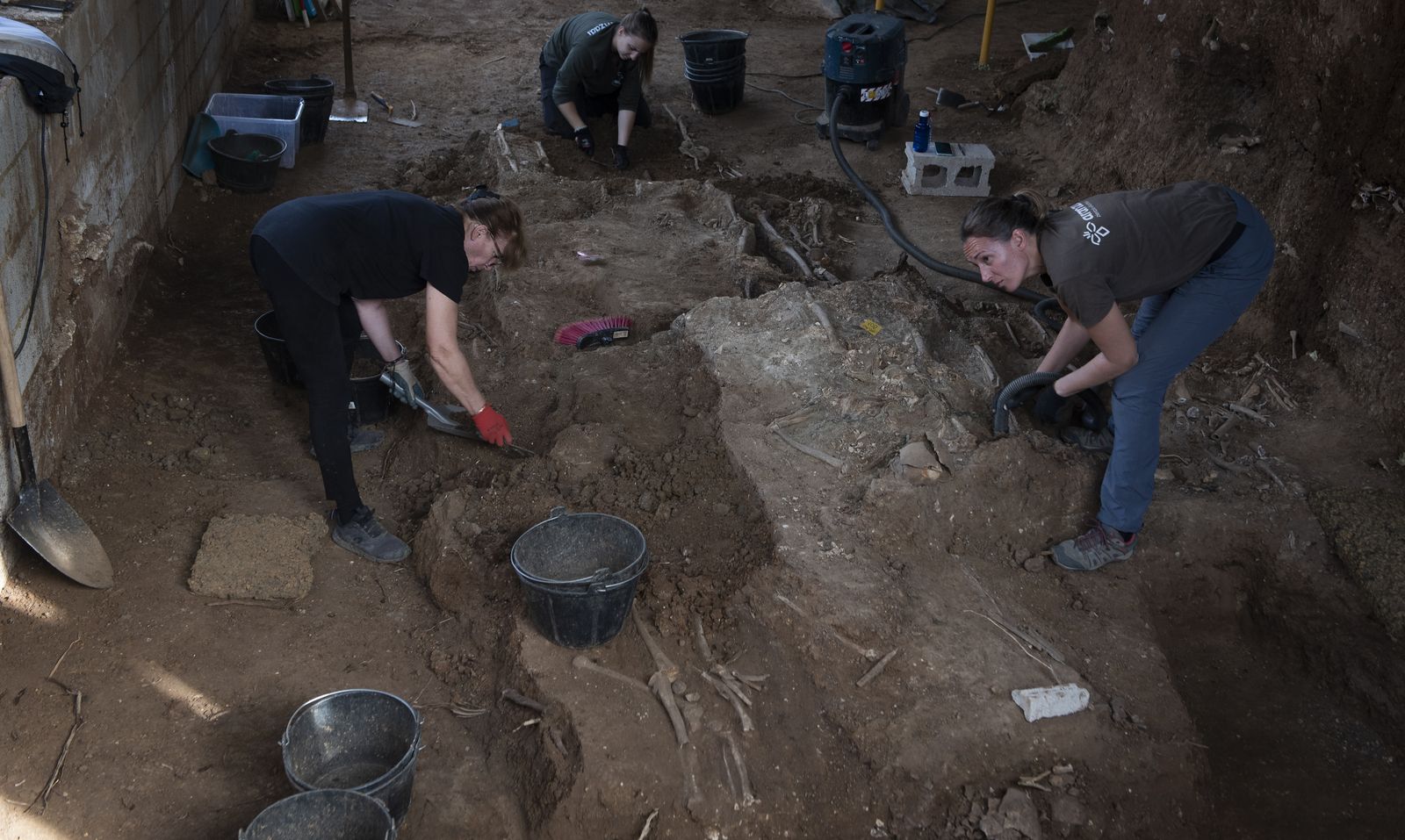 Imágenes de la fosa común de Pico Reja, en el cementerio de San Fernando