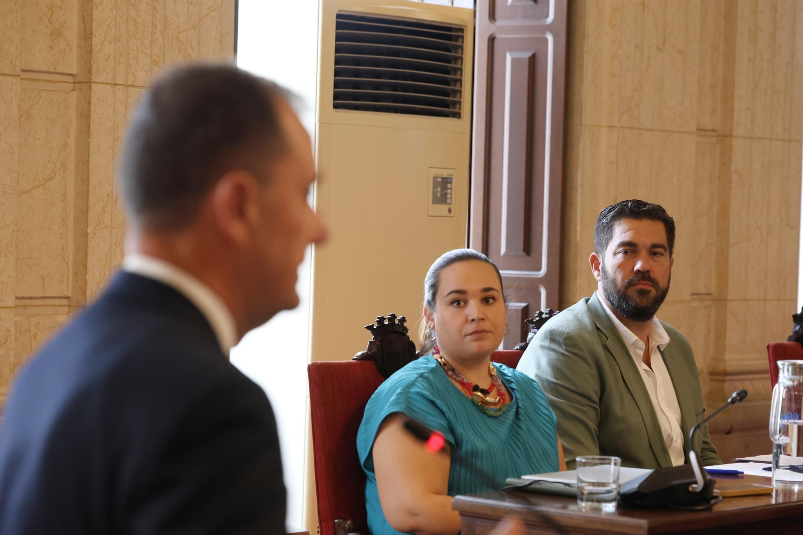 El pleno extraordinario sobre La Rosaleda y la renuncia al Mundial, en fotos