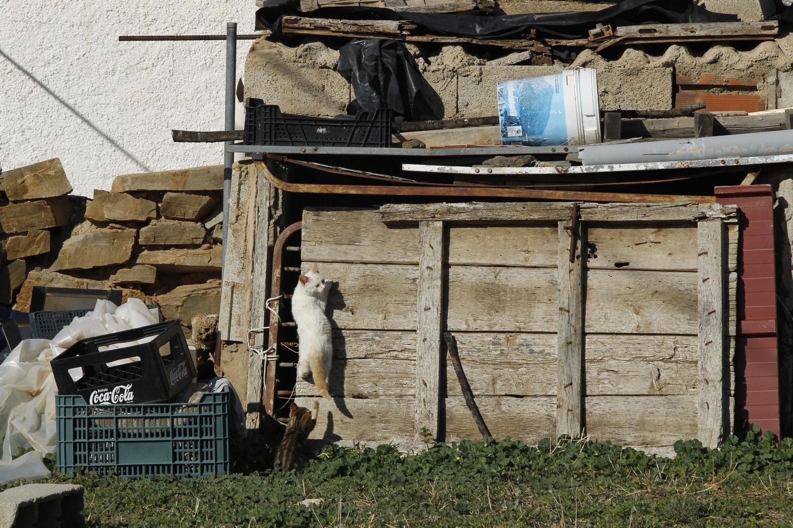 Fiestas Patronales de Escúllar