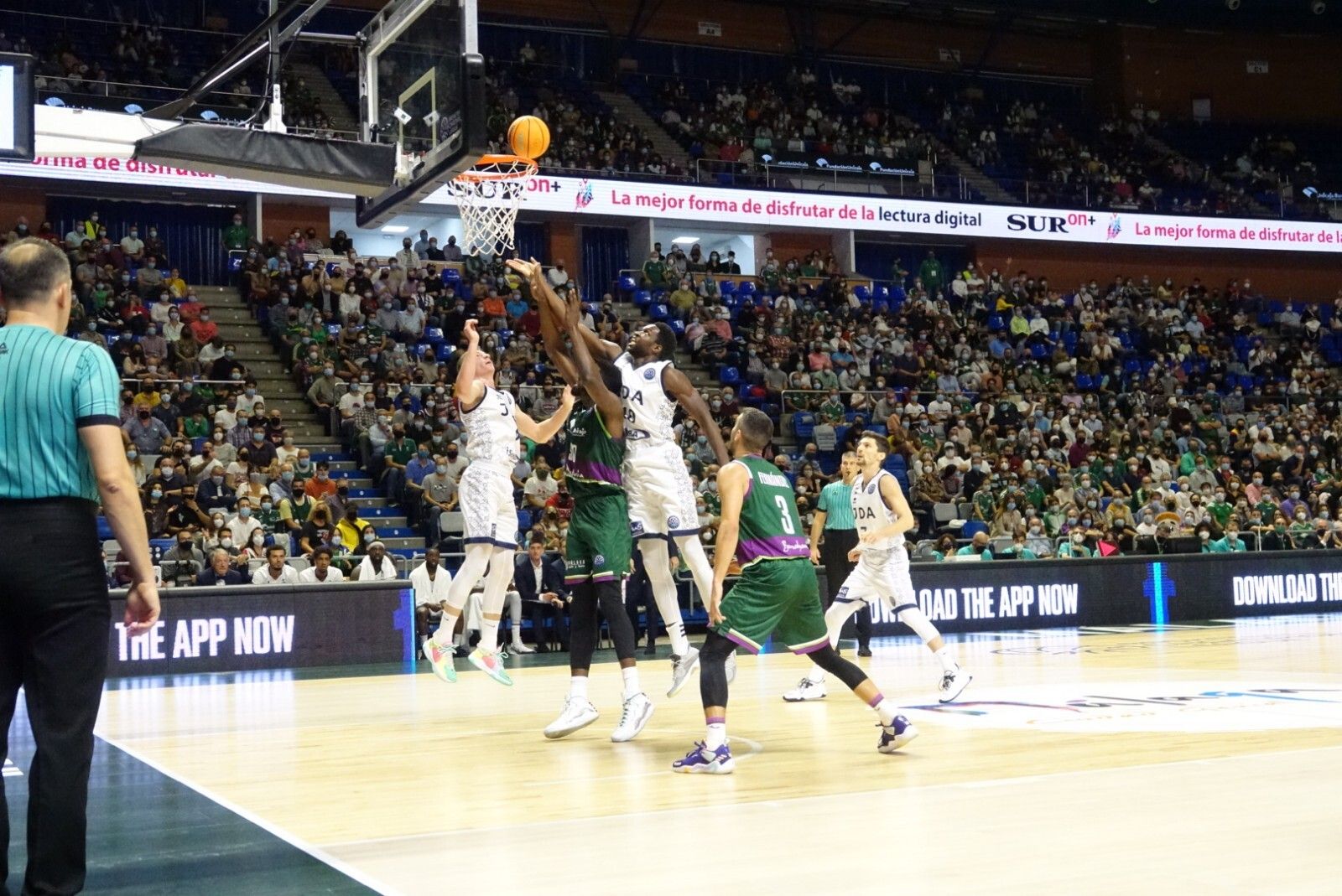 Las fotos del Unicaja-Dijon