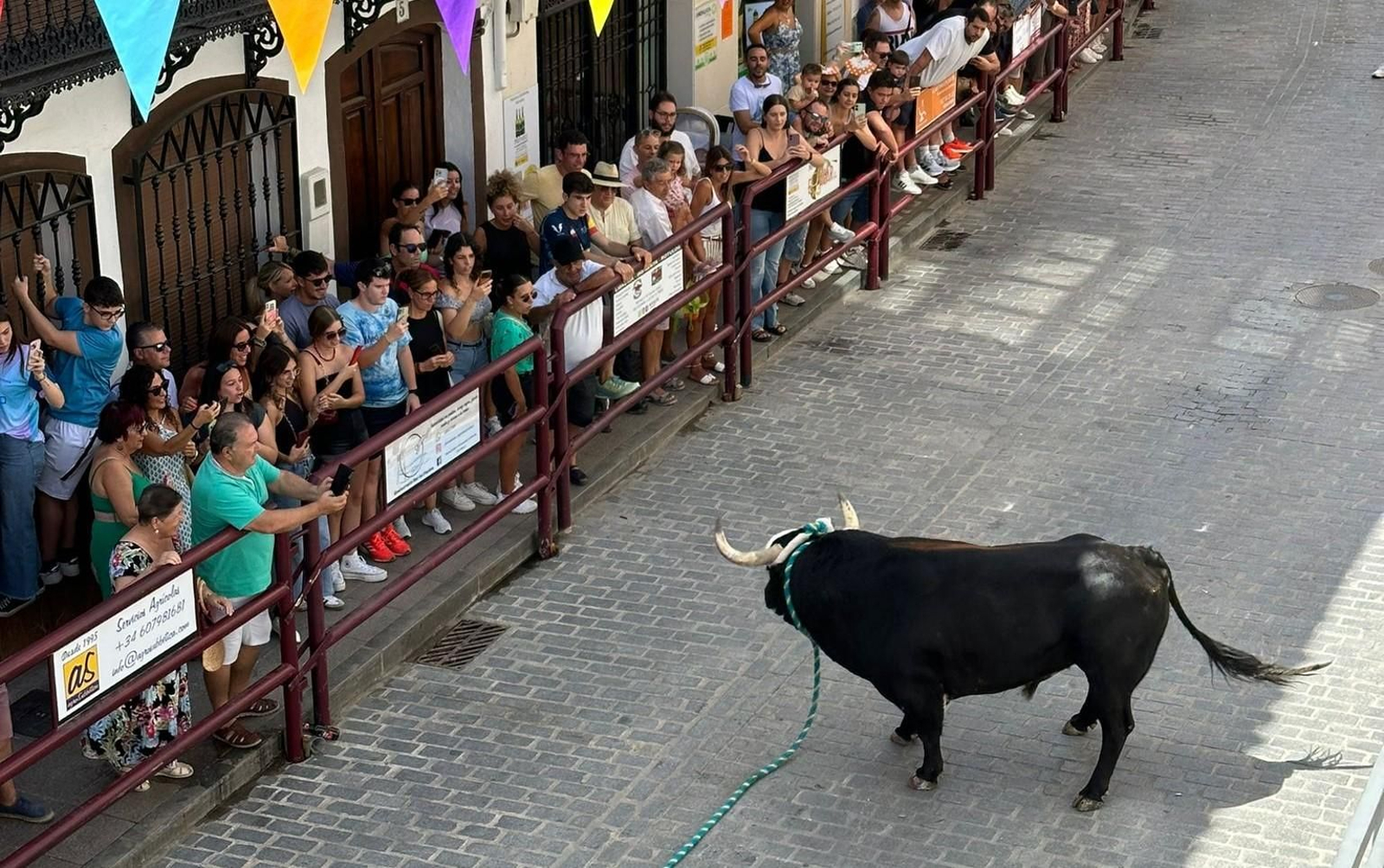 Las fotos del toro de cuerda de Carcabuey