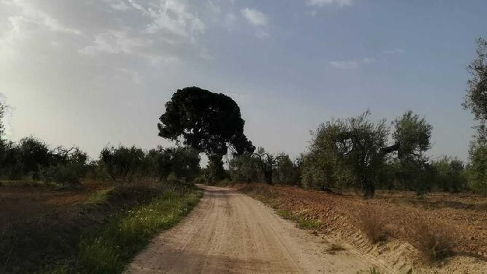 De Umbrete a Cuatrovitas