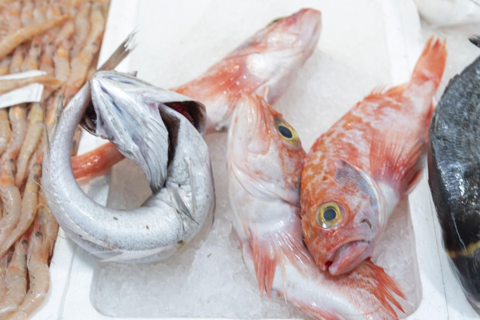 Fotos de los comercios en el mercado Diego Ponce en San Roque