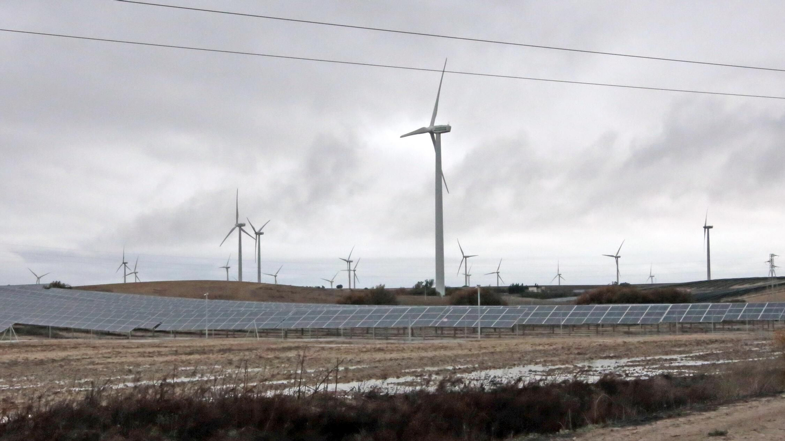 Imagen del parque fotovoltaico de Las Quinientas.
