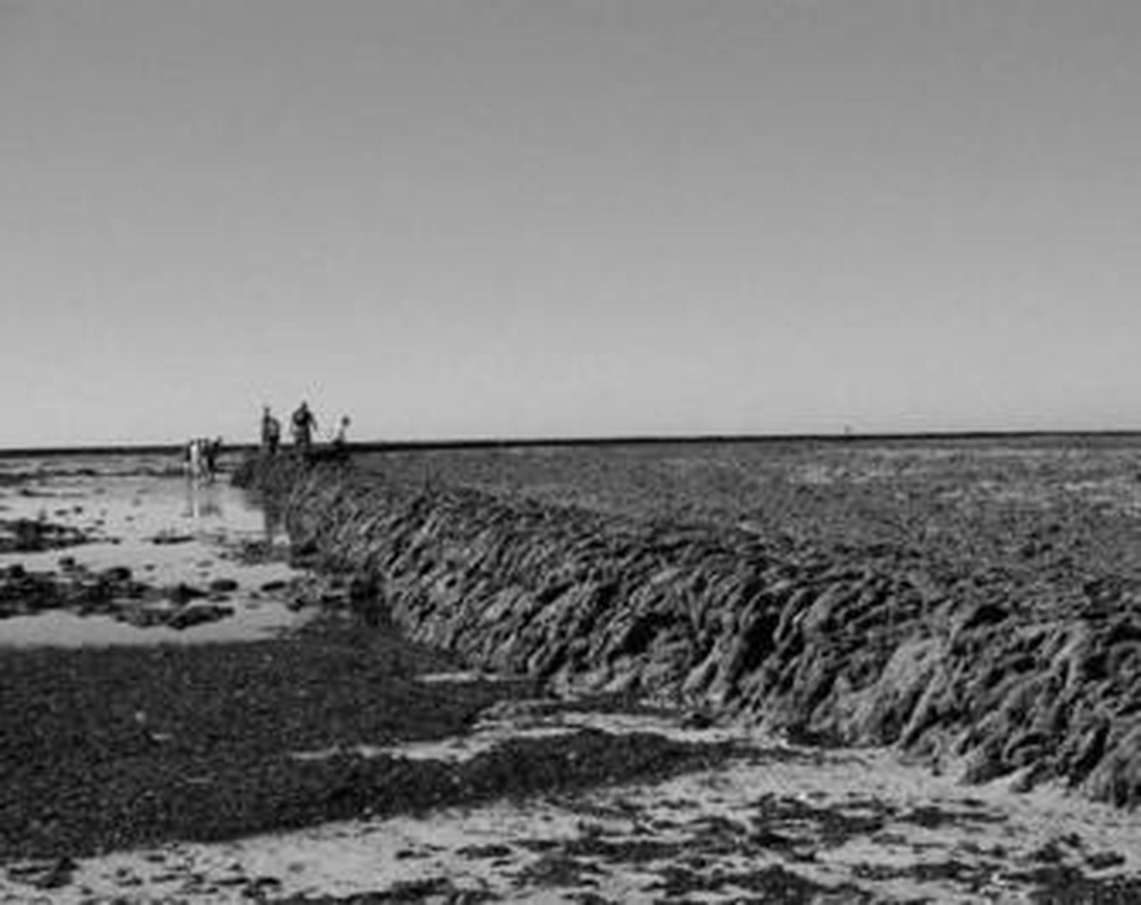 Una instantánea de los corrales de pesca de Chipiona.