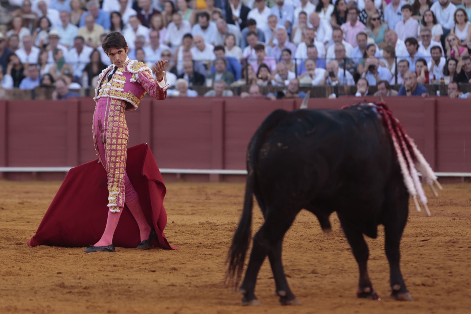 El triunfo de Castella en imágenes
