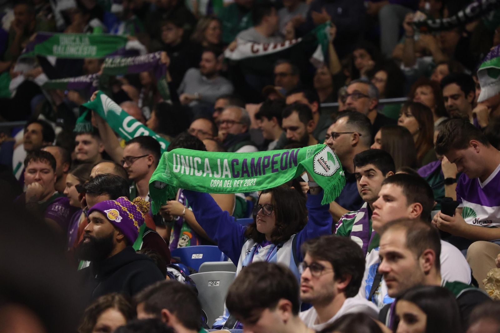 Búscate en las gradas del Carpena en el Unicaja-Breogán