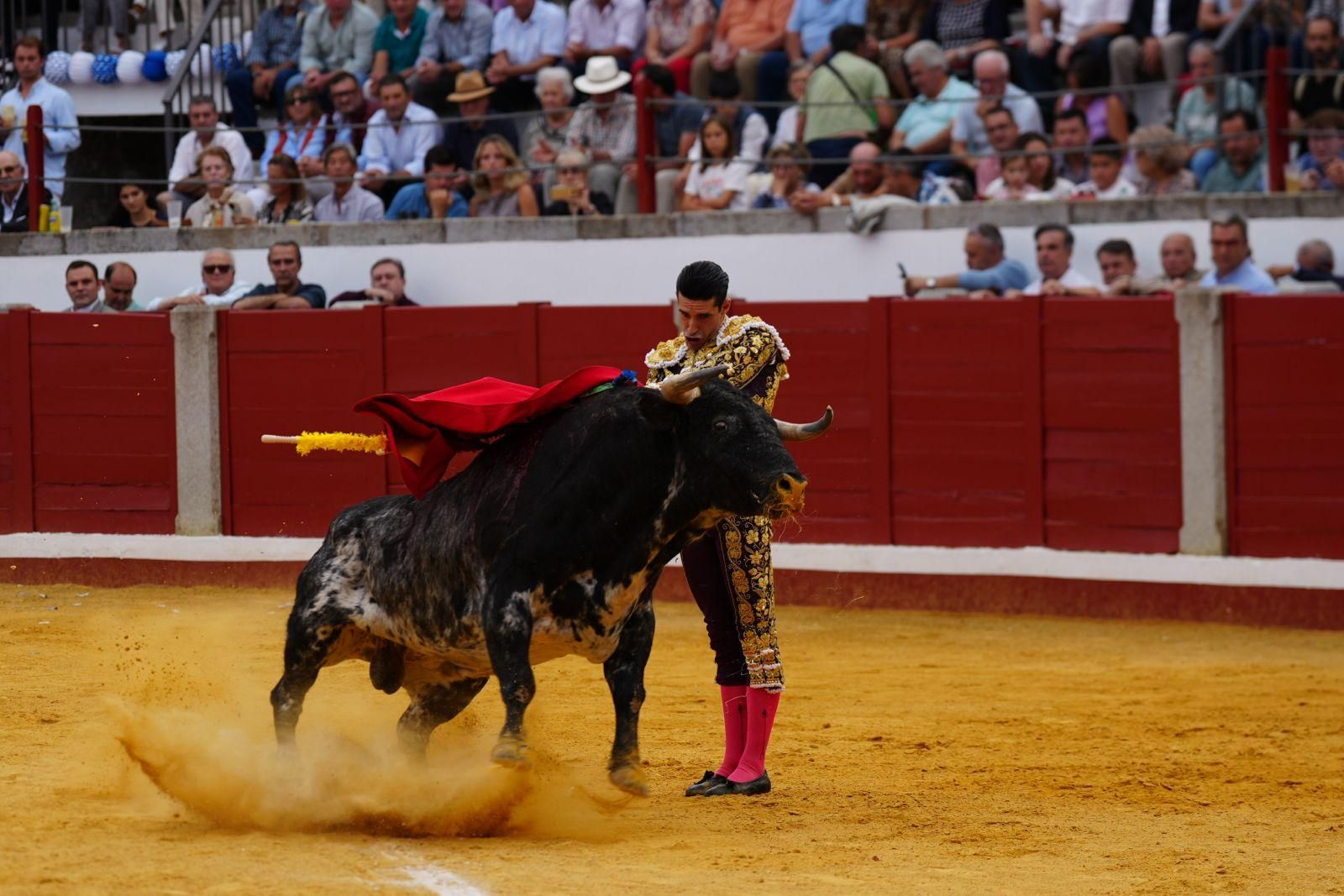 La despedida de Enrique Ponce de los ruedos en Pozoblanco, en imágenes