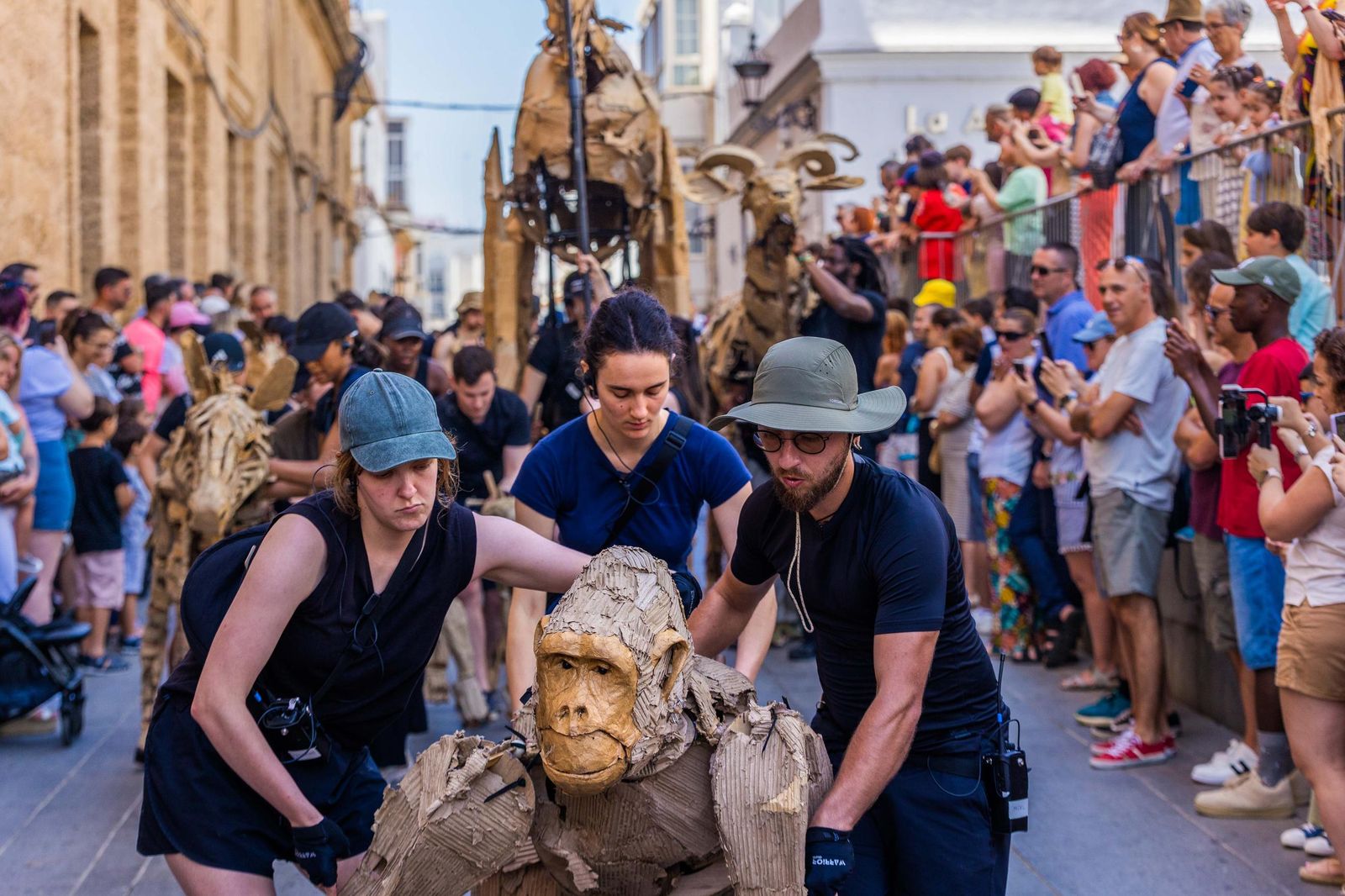 Las imágenes de 'La estampida' en San Fernando