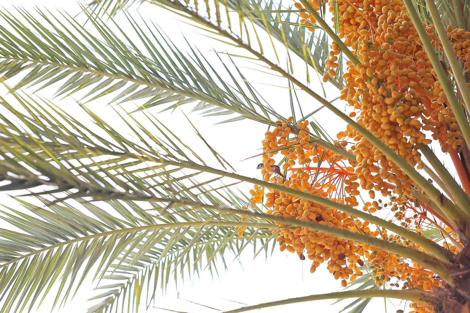 Imágenes del lunes 23 de septiembre en Huelva