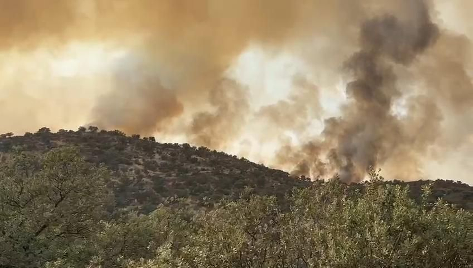 Incendio en Villanueva del Rey.