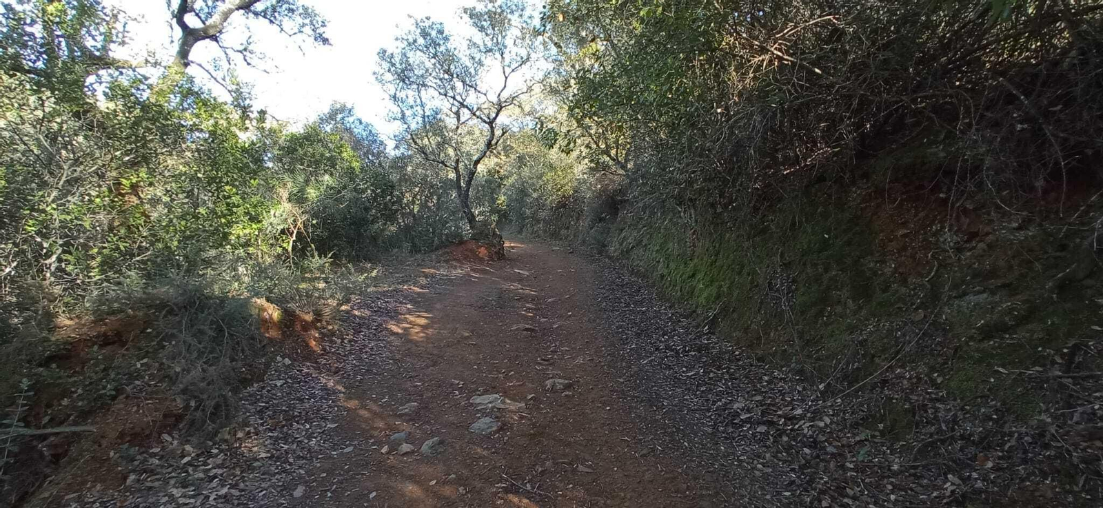 Fotos de la Ruta circular Aracena-Linares de la Sierra-Aracena