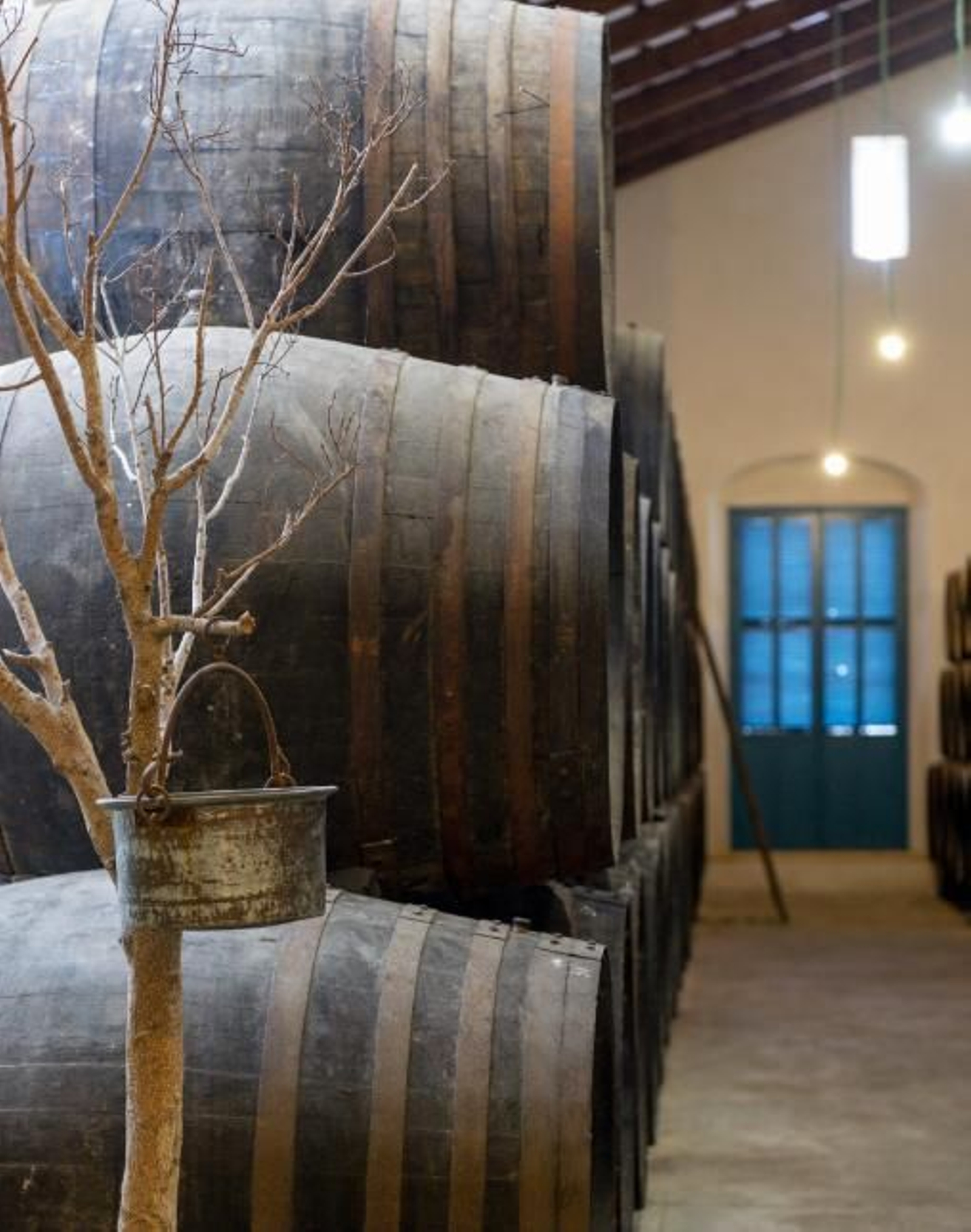 VINOS SEGÚN CEDE (ER GUERRITA) VINOS SEGÚN CEDE (ER GUERRITA)