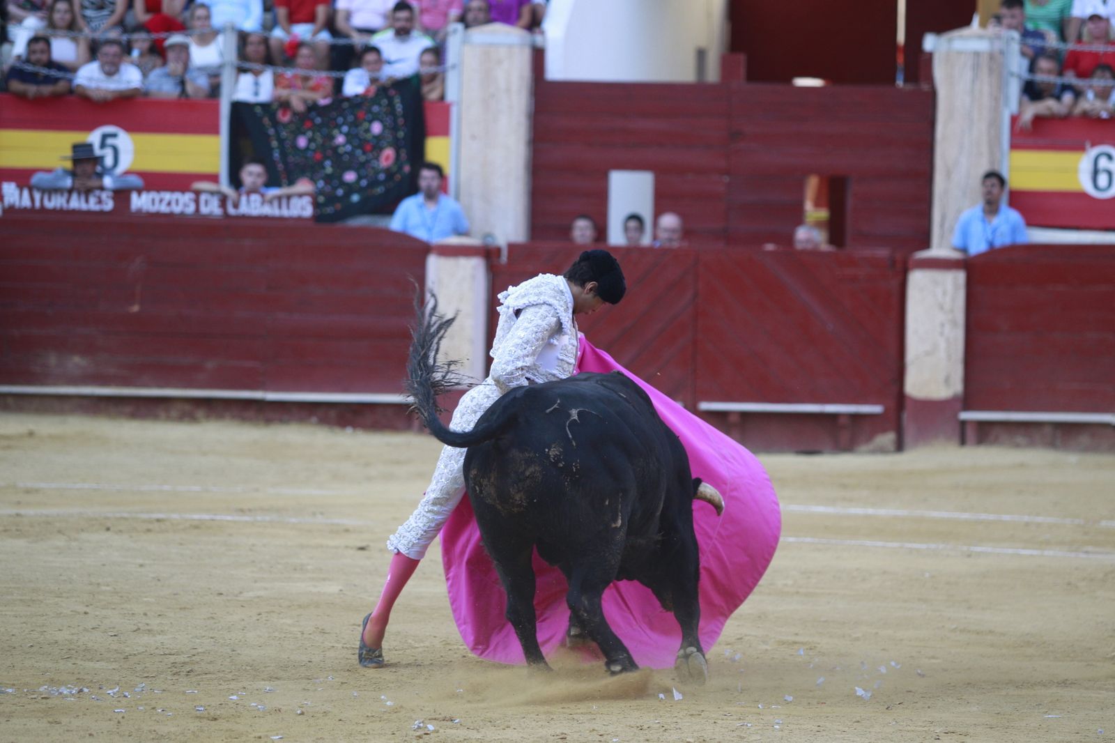 Imágenes del triunfo del torero almeriense Jorge Martínez el día de su alternativa