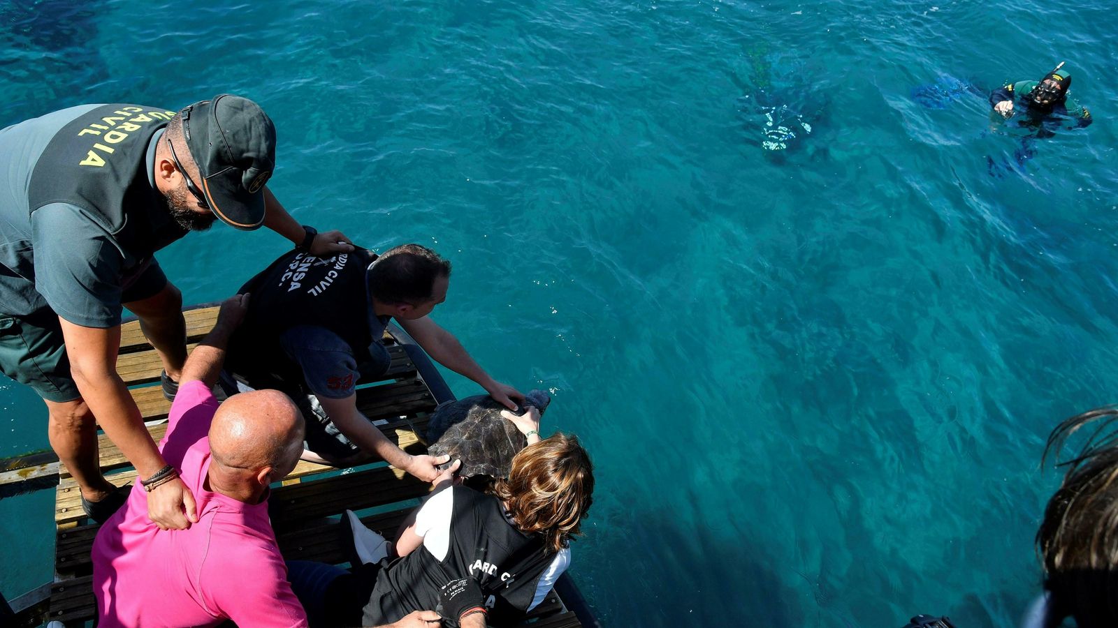 Los agentes David Domínguez y Margarita Reguero sueltan a 'Guerrero'.