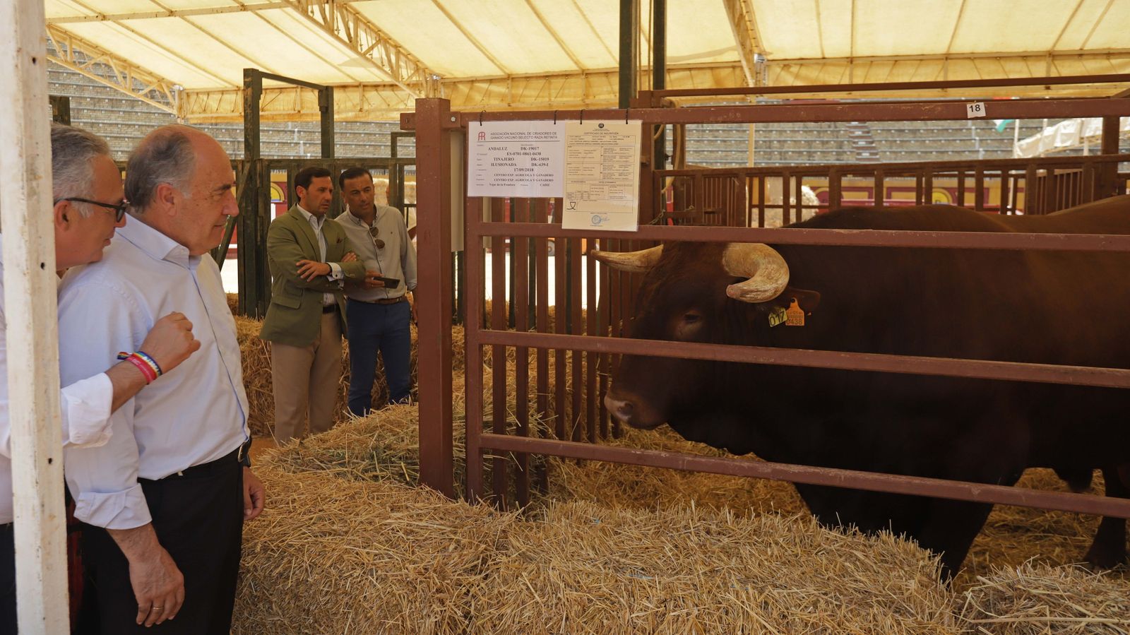 Fotos de la inauguración de la 171 Feria del Ganado de Algeciras