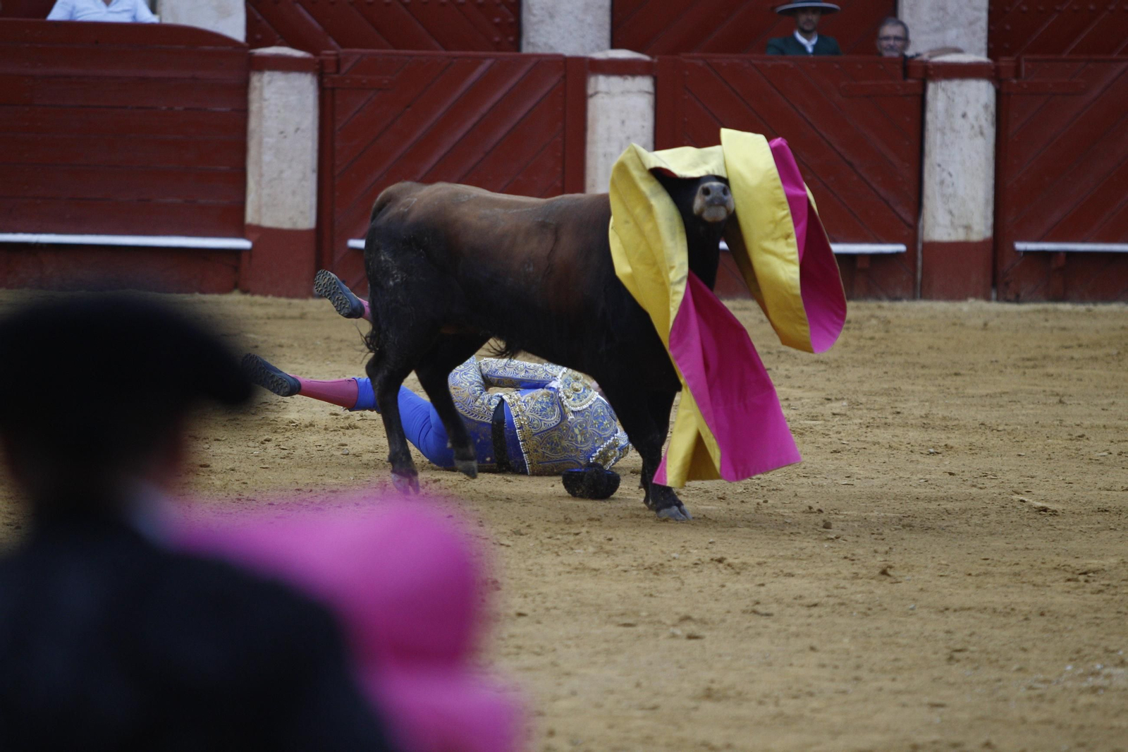 Las mejores imágenes de la clase práctica de la Escuela Municipal Taurina de Almería