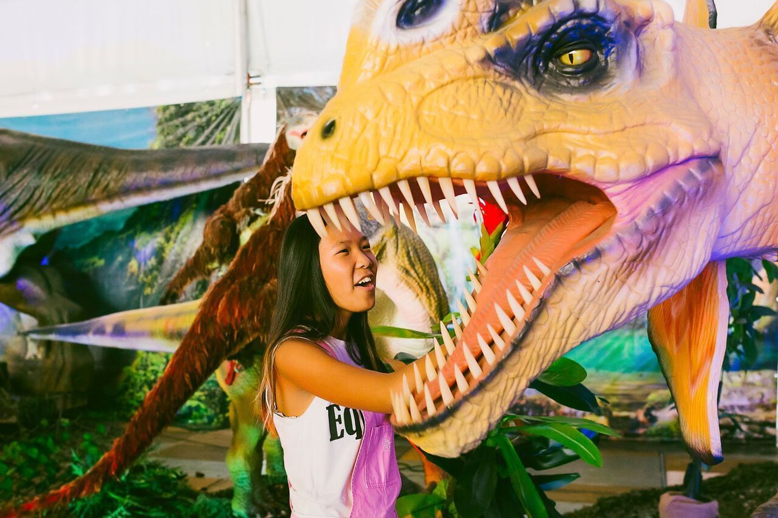 Una imagen de la exposición que se muestra el fin de semana en Ifeca.