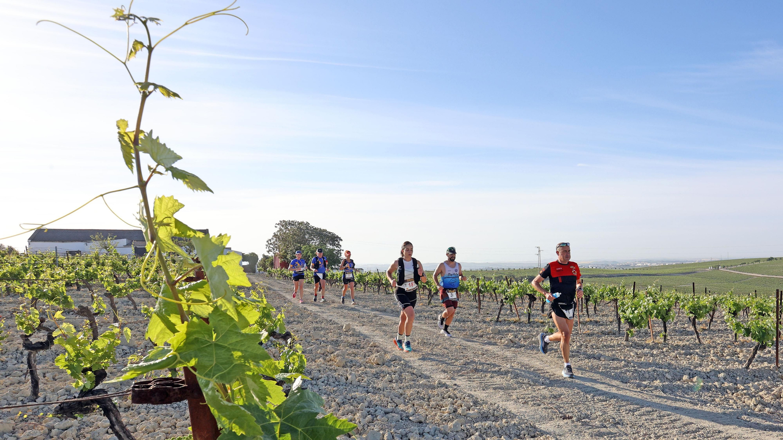 VI Sherry Maratón Jerez