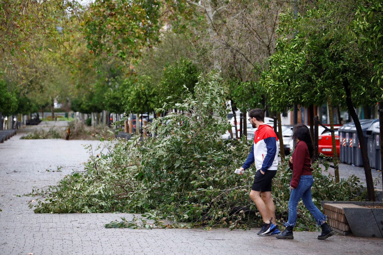 El paso de la borrasca Aline por Córdoba, en imágenes