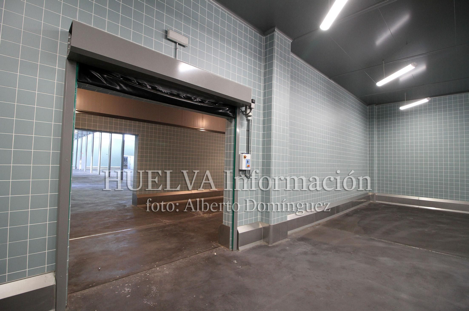 Inauguración de la Nueva Lonja del Puerto de Huelva, en imágenes