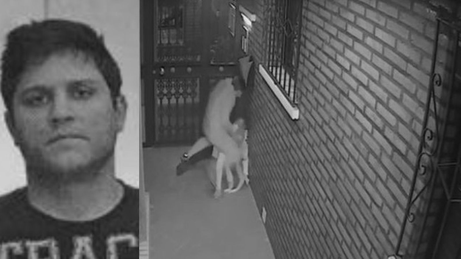 Imagen de Stoian Marcel Gongu