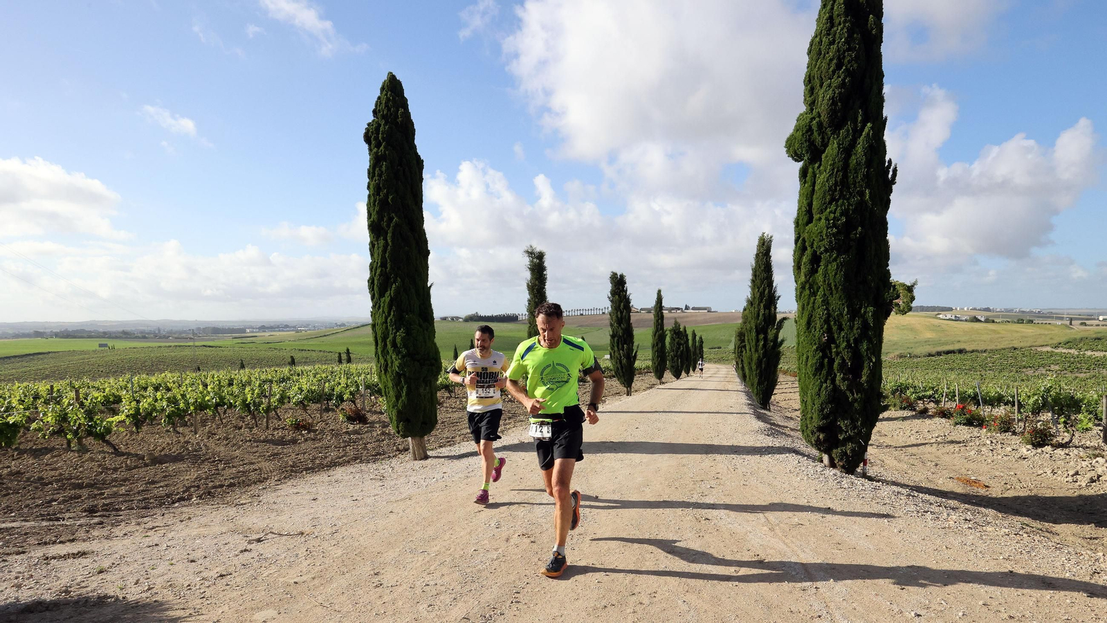 Búscate en la Sherry Maratón 2025 de Jerez (I)